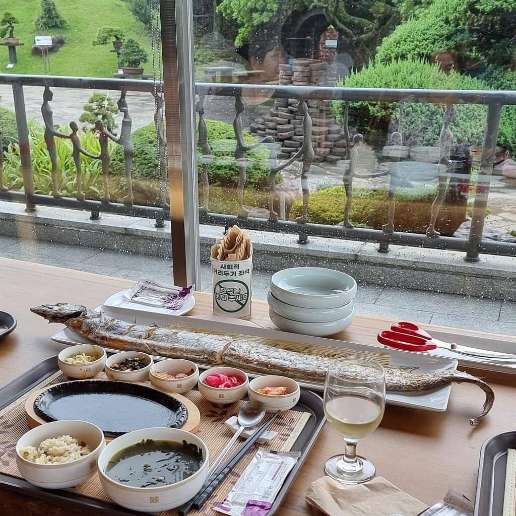 Ancient Bonsai Collection