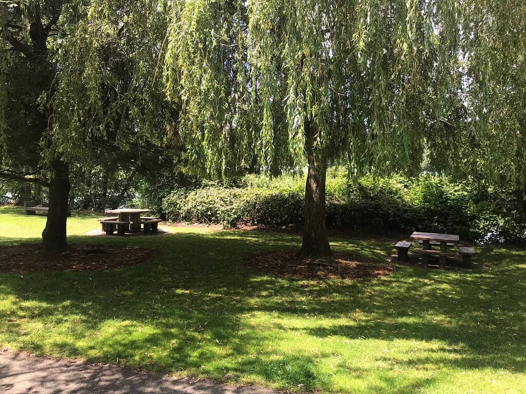 Plane Spotting Opportunities