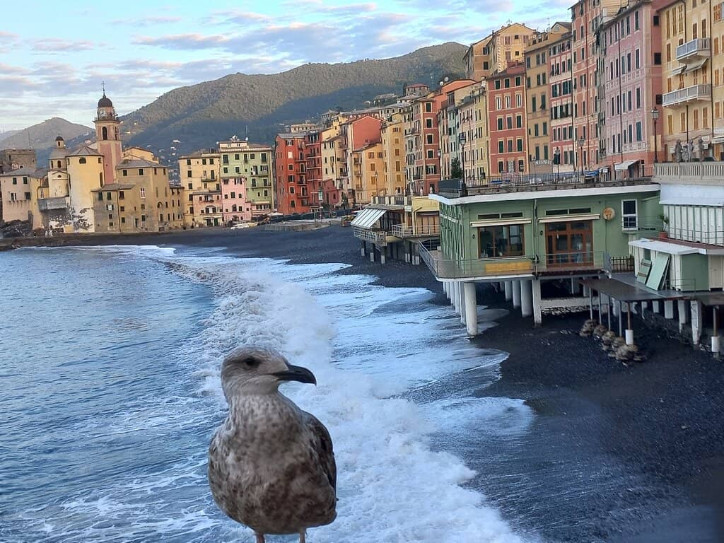 Pastel-Colored Waterfront