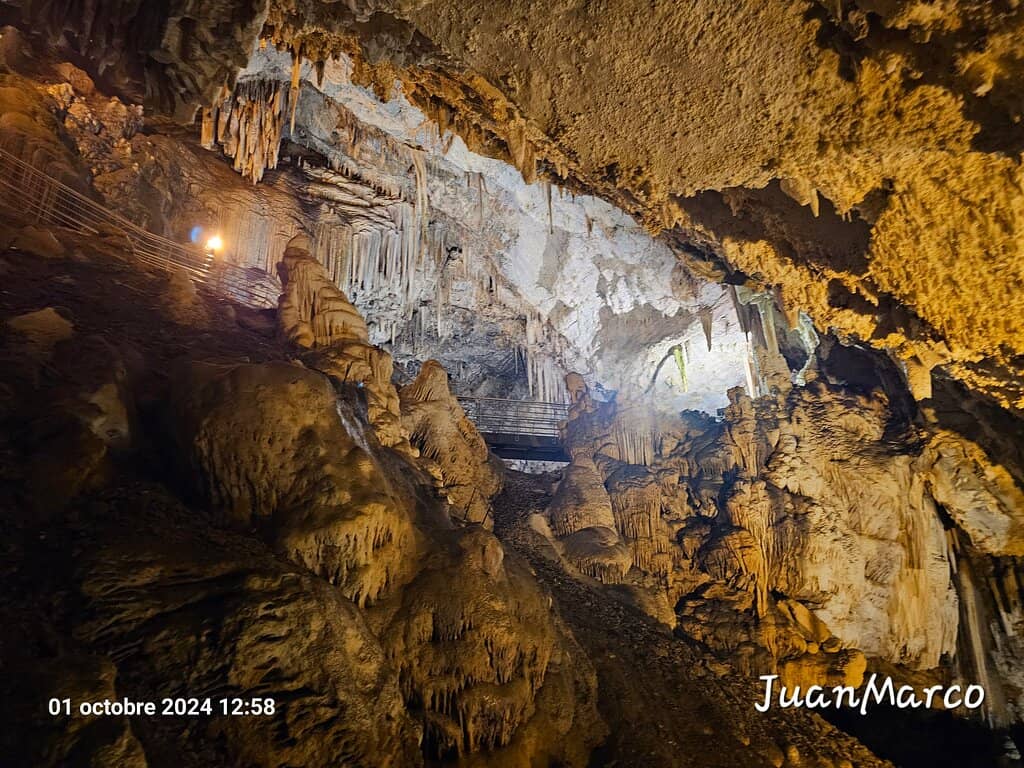 Historical Carvings