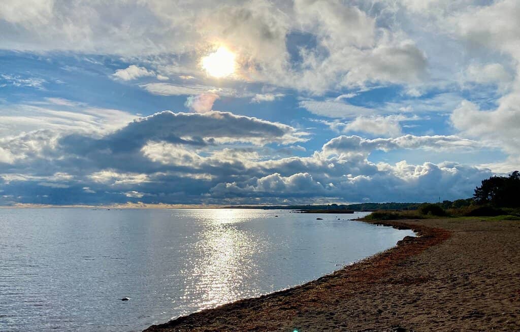 Year-Round Scenic Walks