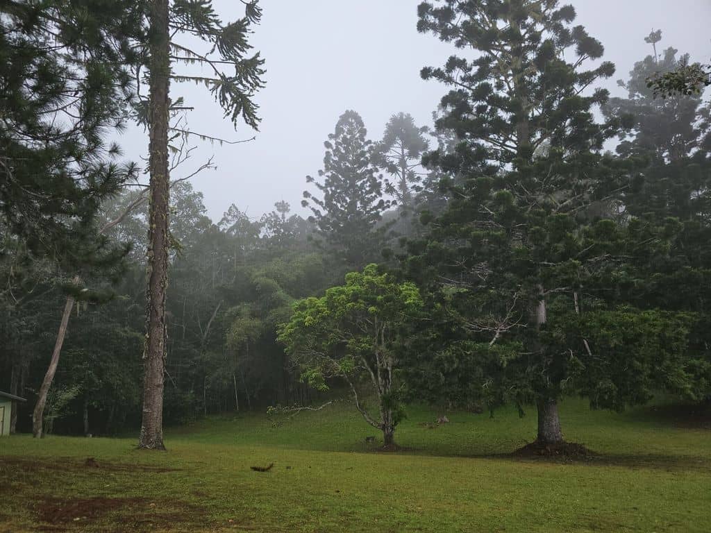 The Boundary Trek