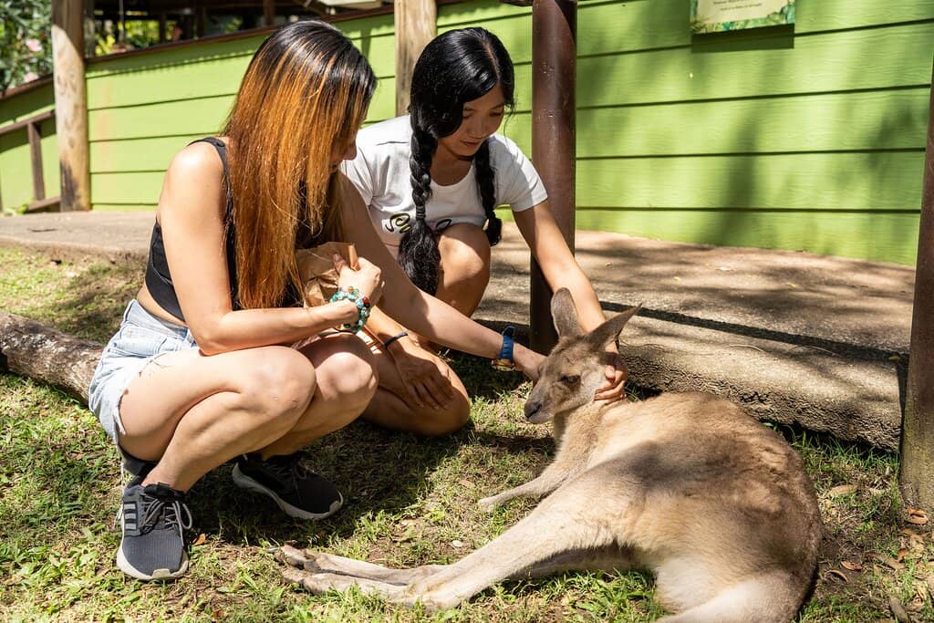 Australian Wildlife Encounters