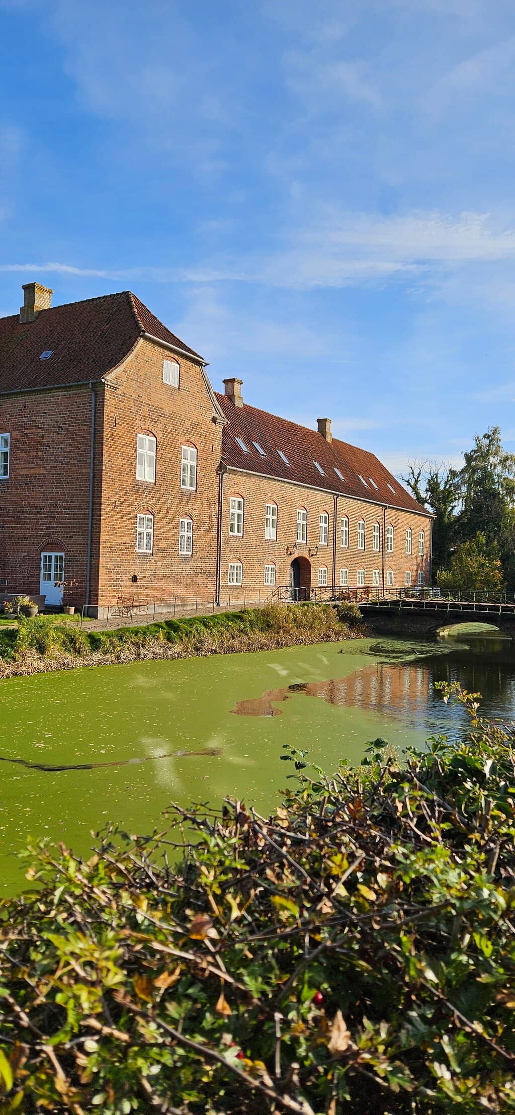 Christian IV Oak Tree