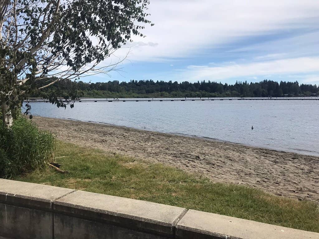 Sandy Beach & Play Area