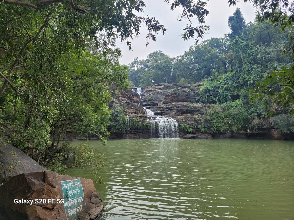 Lush Green Surroundings