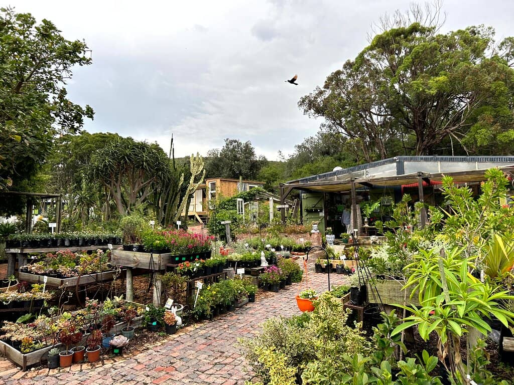 Artisan Shops & Boutiques