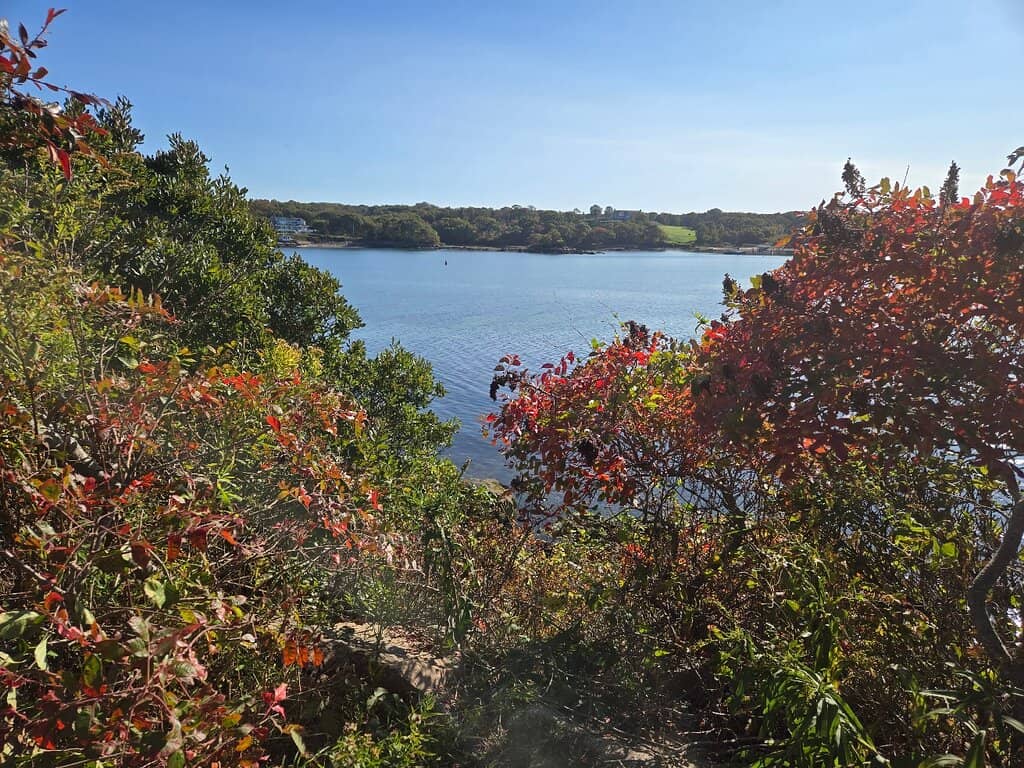 Secluded Beach Access