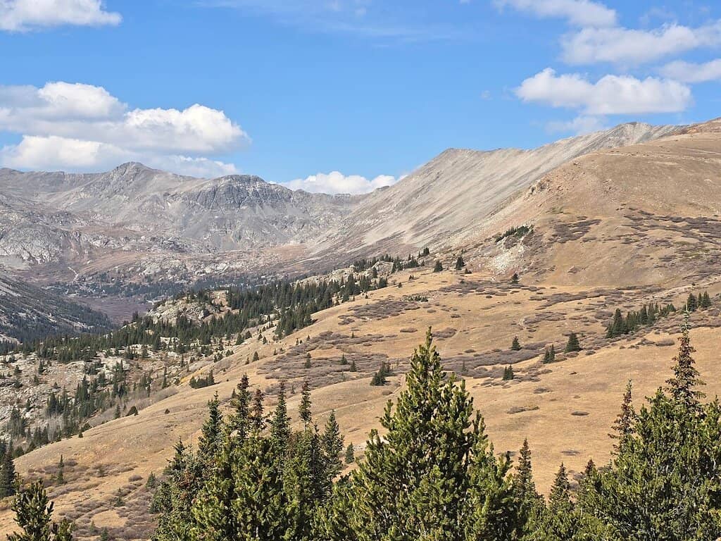 Historic Mining Relics