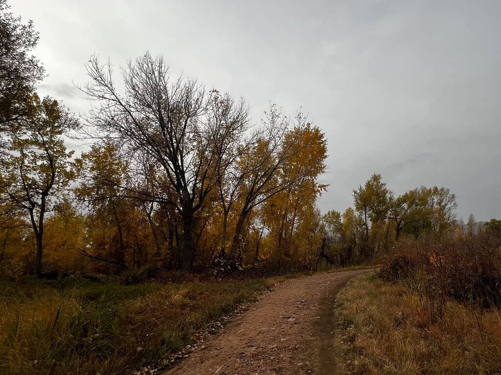 Scenic Walking Trails