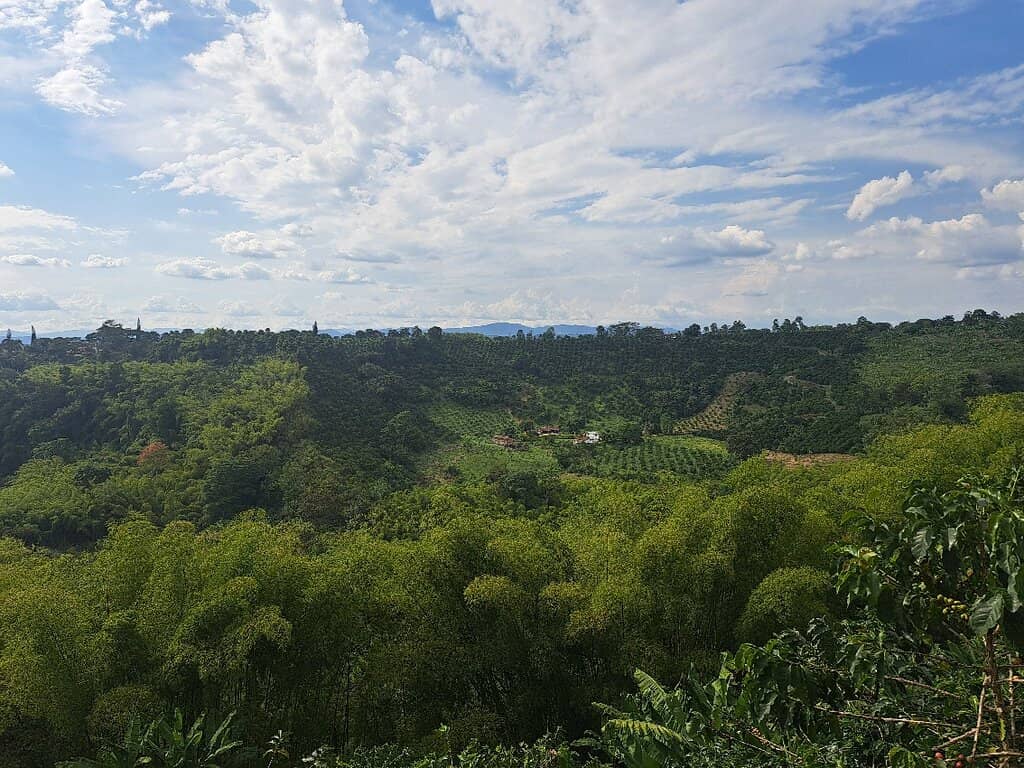 Interactive Cultural Immersion