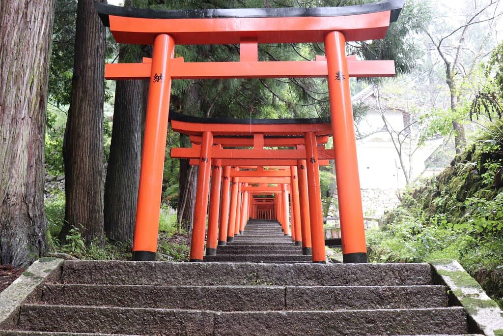 Vertical photo