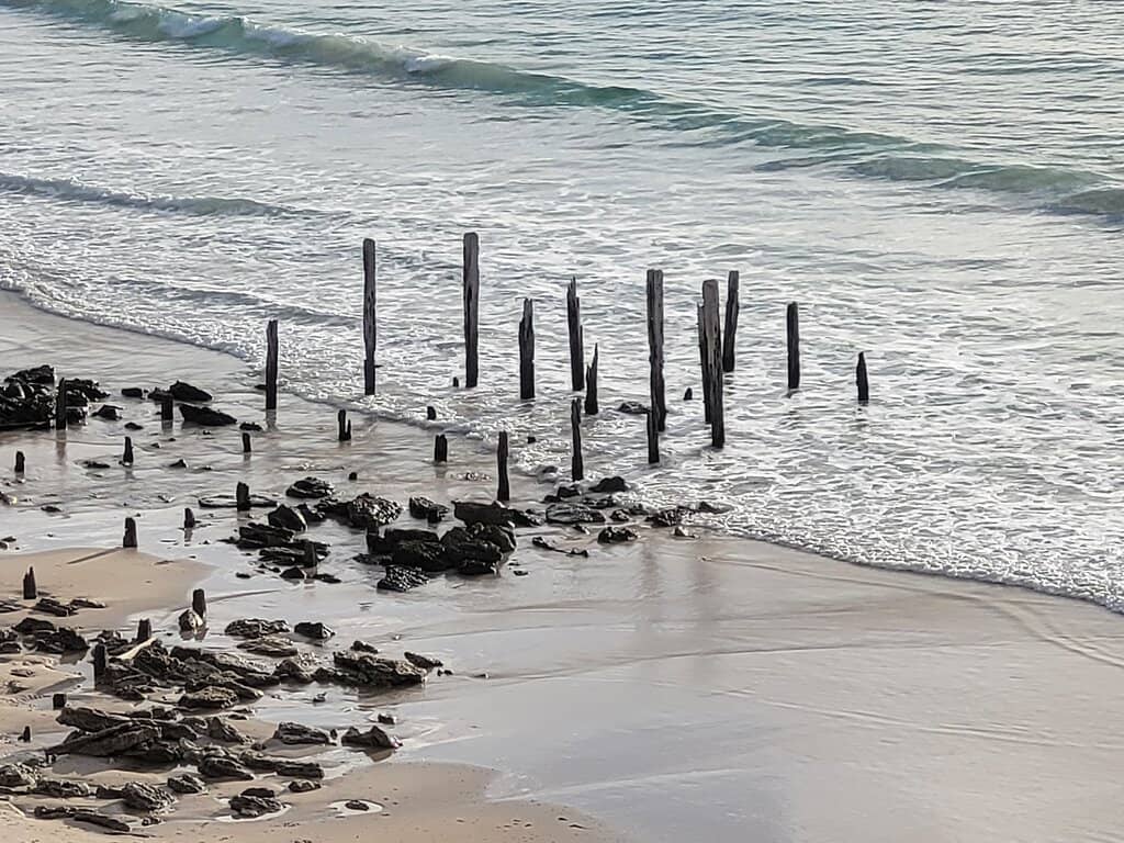 Coastal Scenery