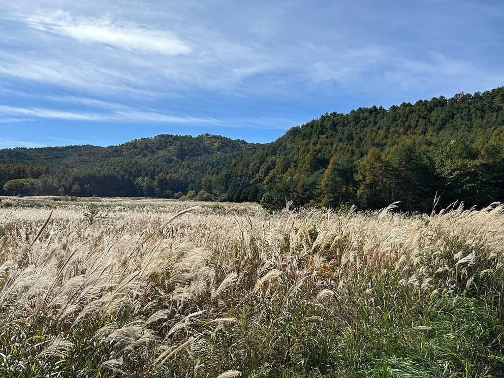 Panoramic Summit Views