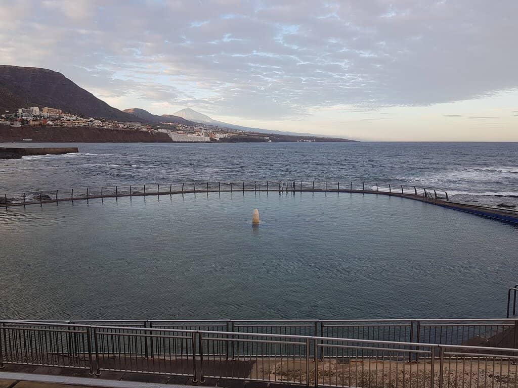 Marine Life Encounters