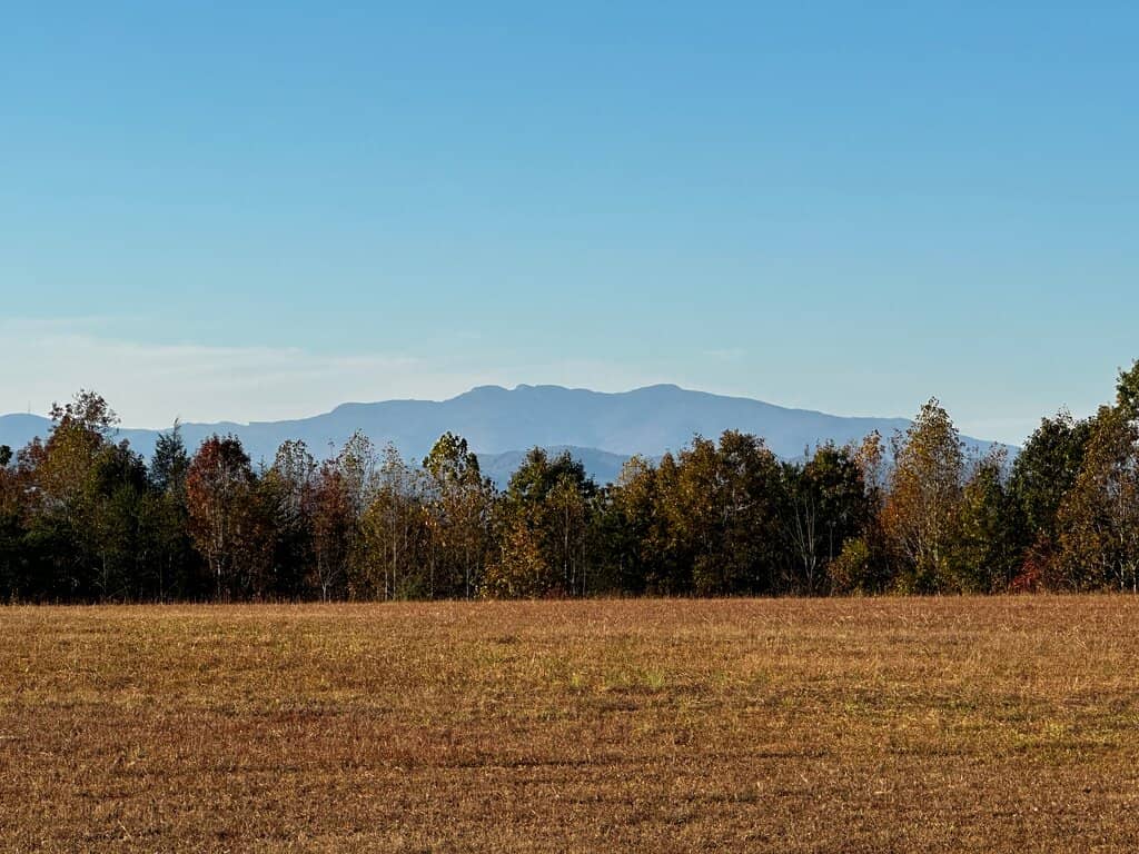 Steaming Sulfur Springs