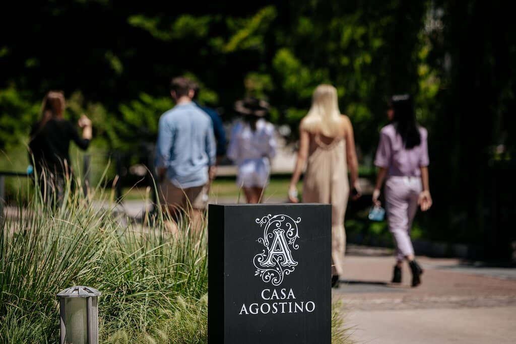 Wine Tasting Experience