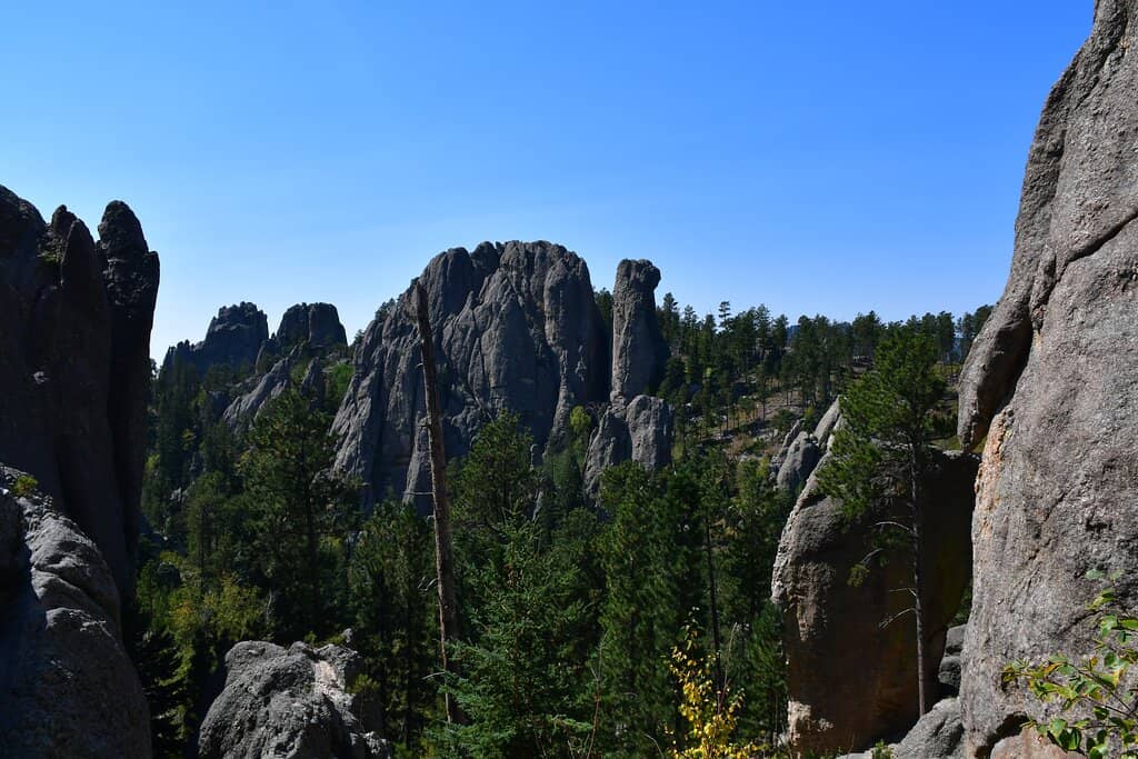 Scenic Needles Highway Drive
