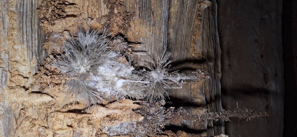 Diverse Geological Formations