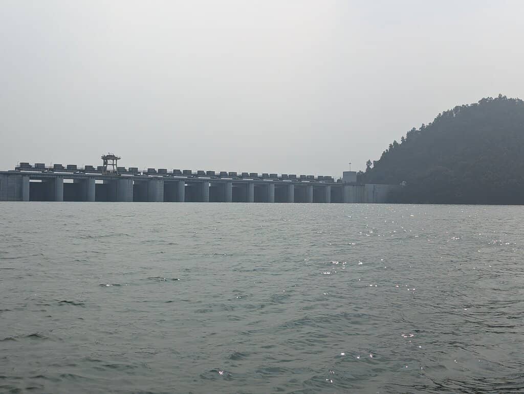 Tranquil Lake and Greenery