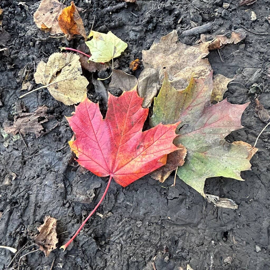 The Corner Tower Ruins