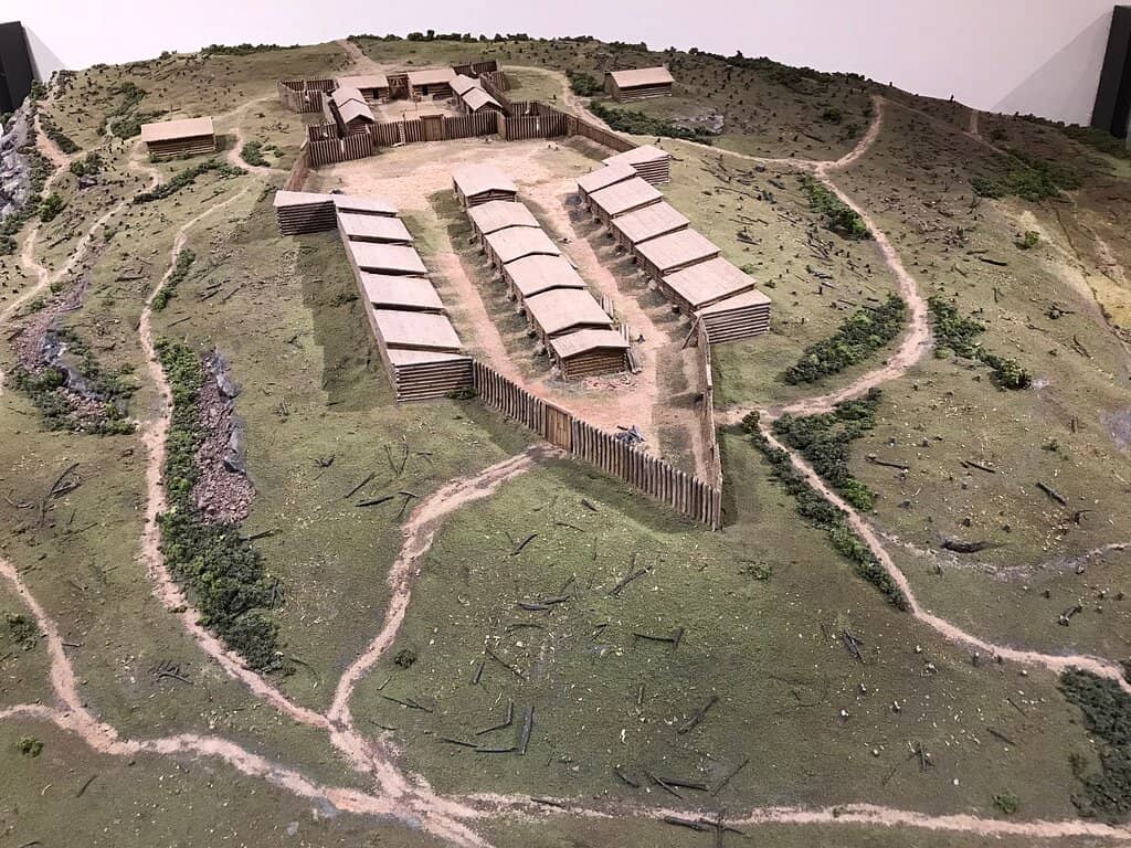 Pleistocene Era Fossils