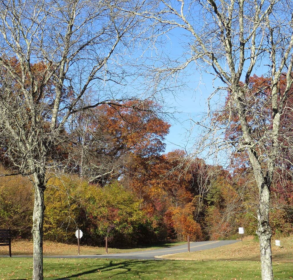 Mountain Biking Trails
