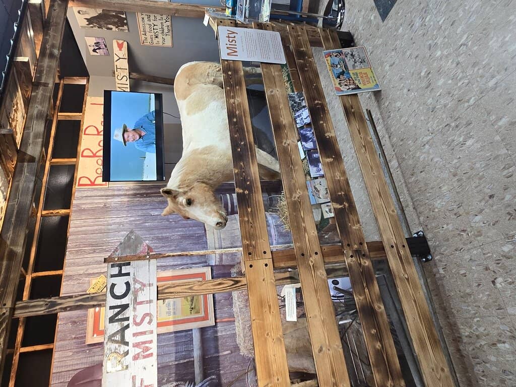 The Famous Pony Swim