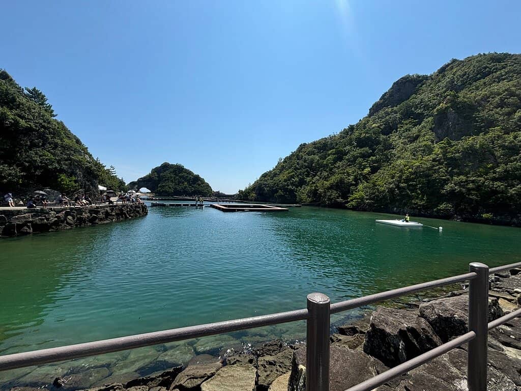 Whaling History Displays