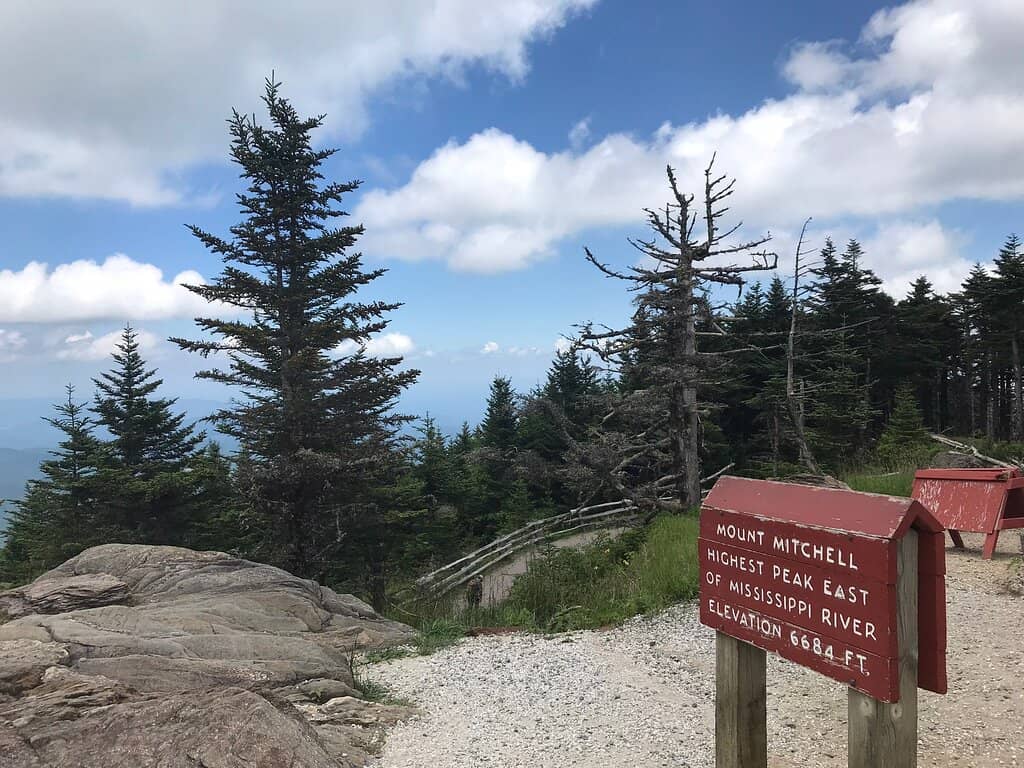 Blooming Wildflowers