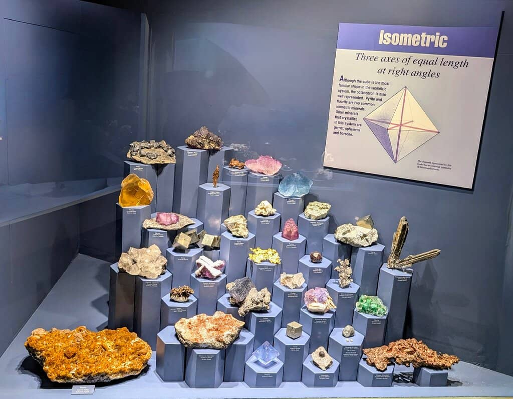 Marine Life & Seashells