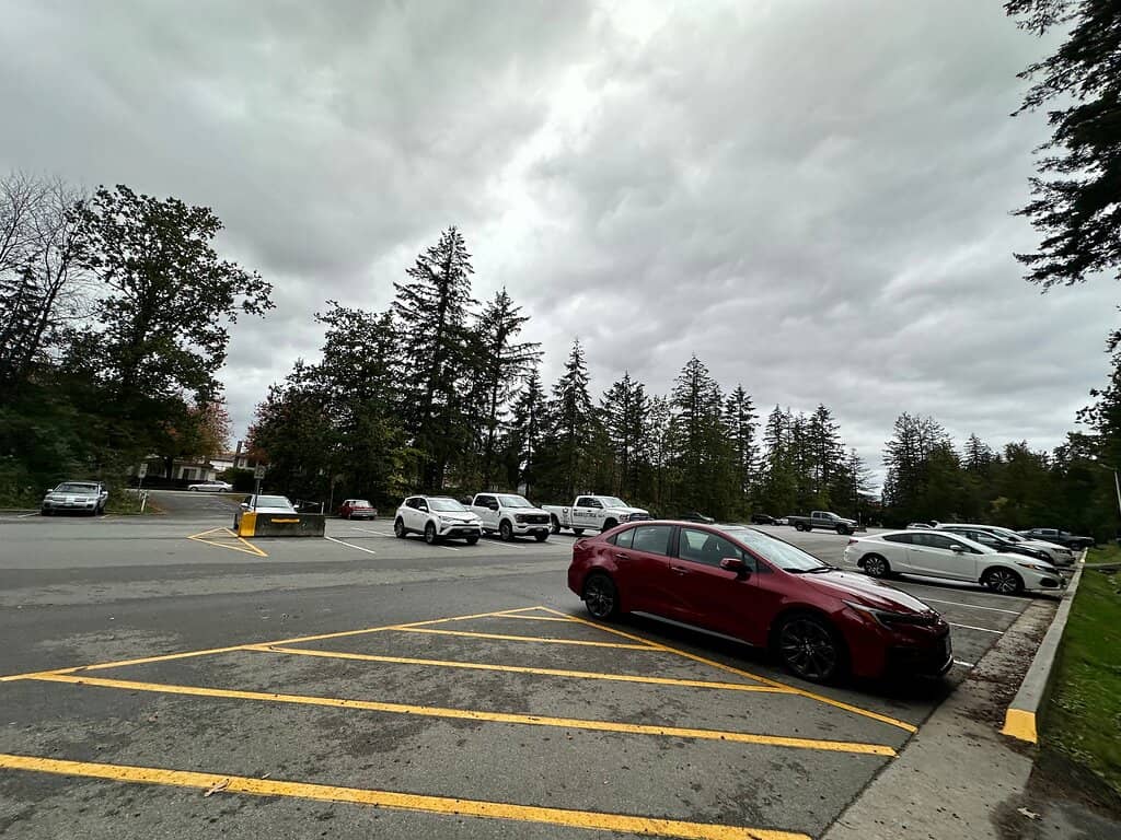 Central Park Ponds & Wildlife