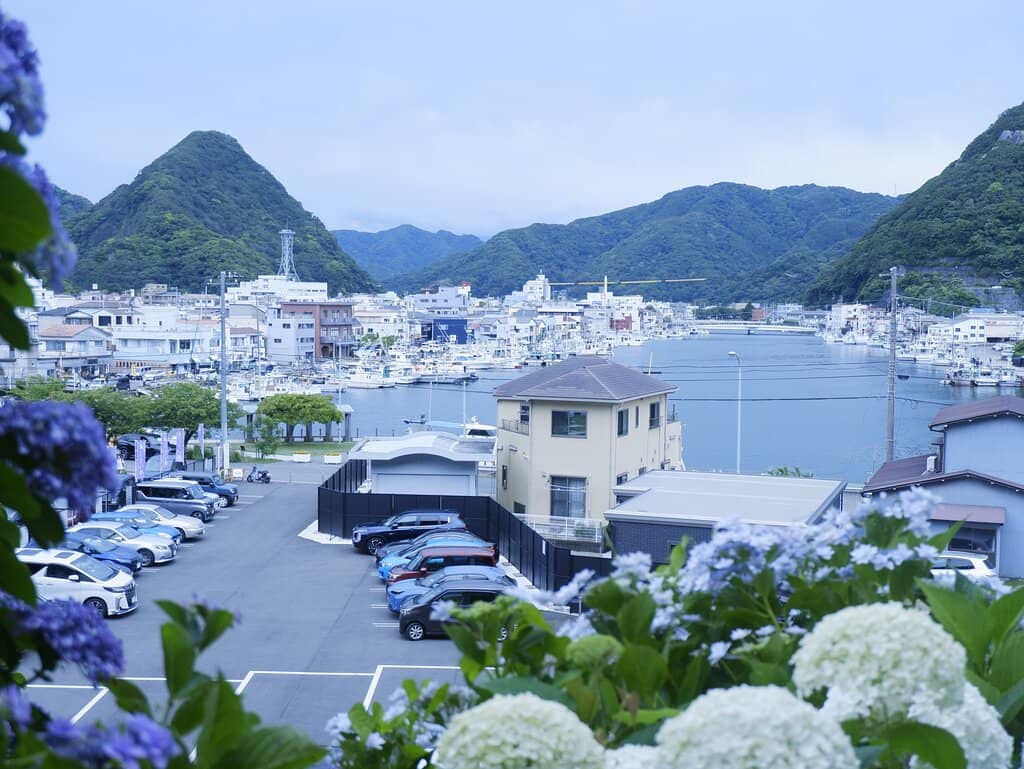 Panoramic Bay Views