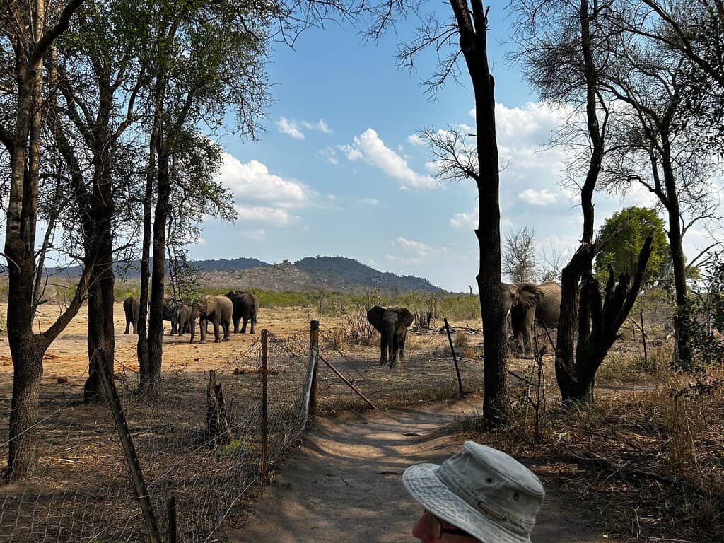 Guided Wilderness Hikes