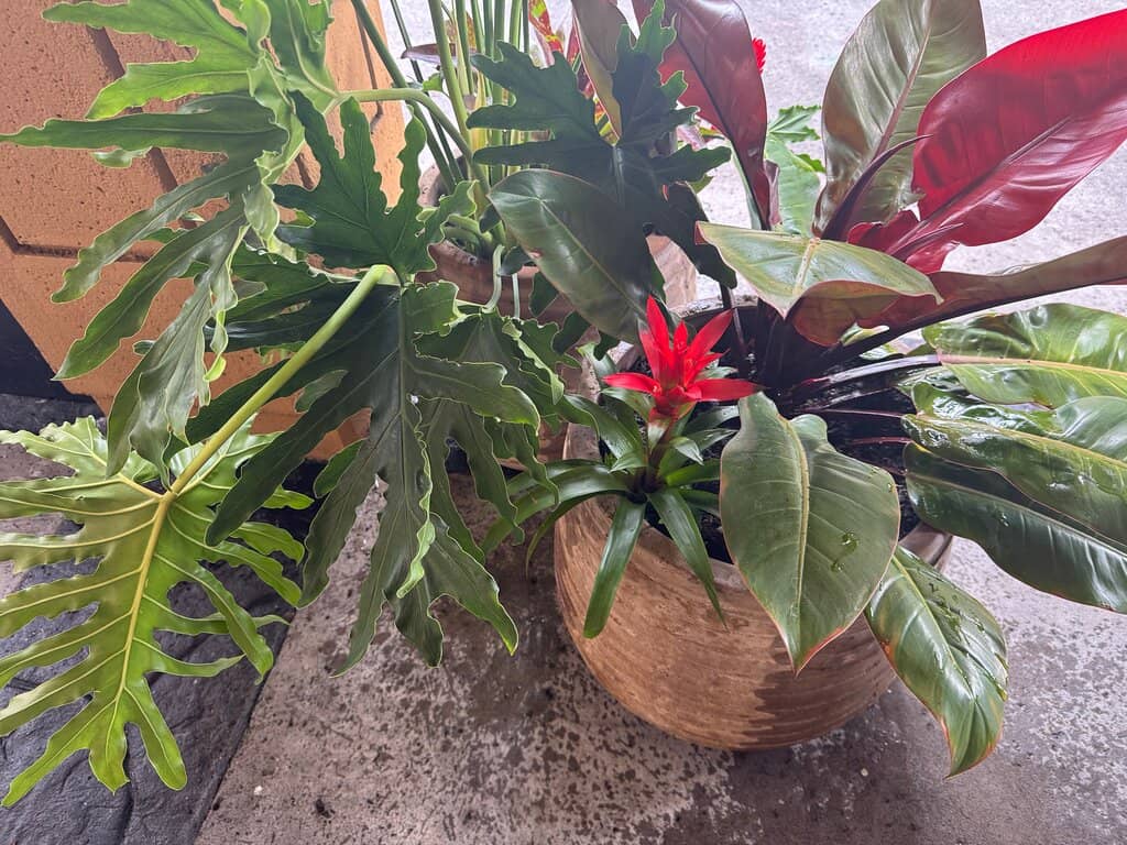 Unique Pizza Creations