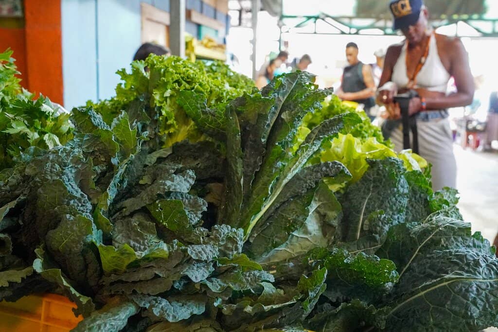 Local Artisanal Crafts