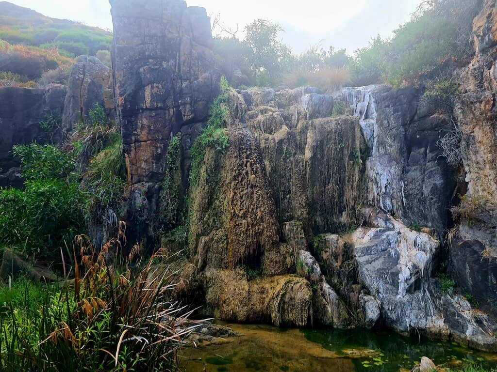 Scenic Coastal Heath Trail
