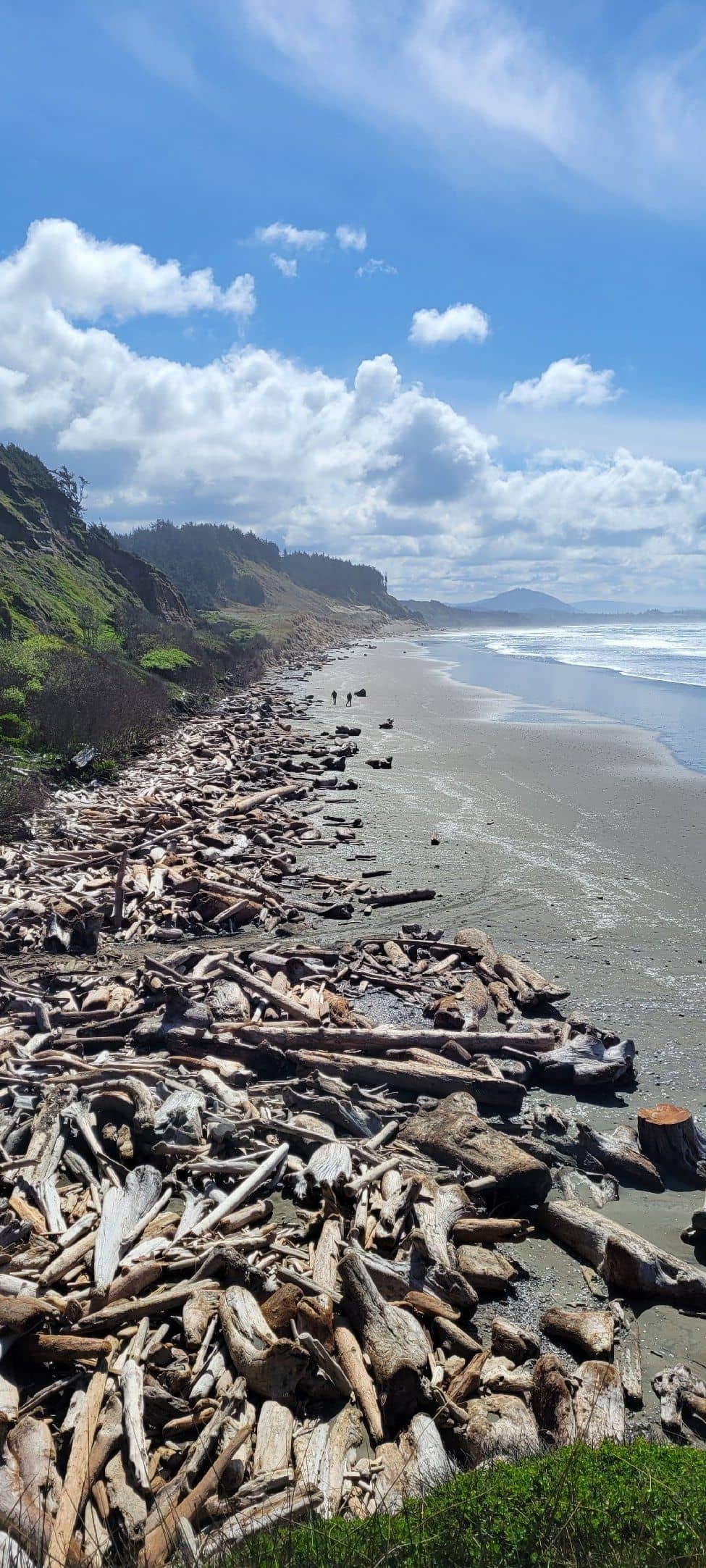 Scenic Hiking Trails