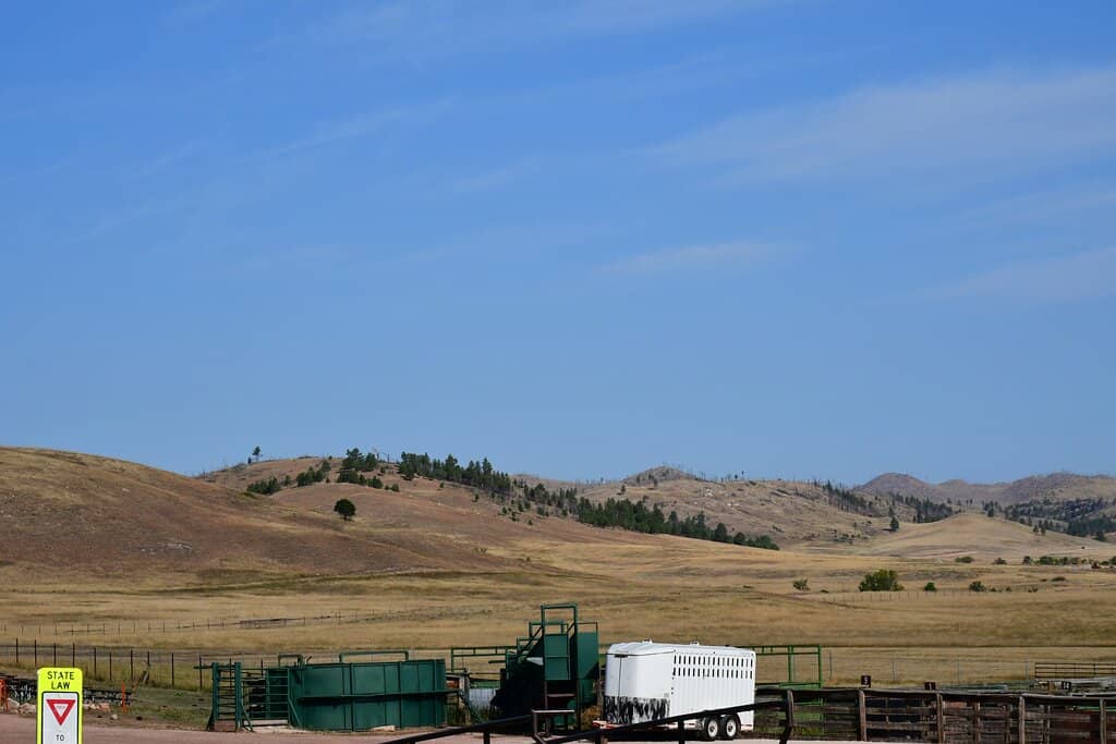 Wildlife Loop Road