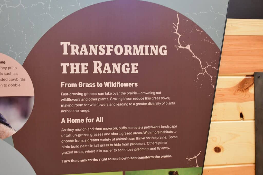 Visitor Center Exhibits