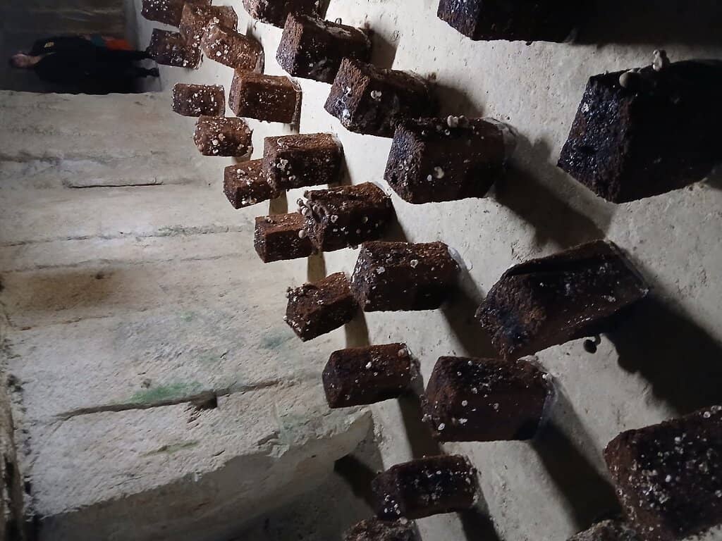 Local Craft Beer Tasting