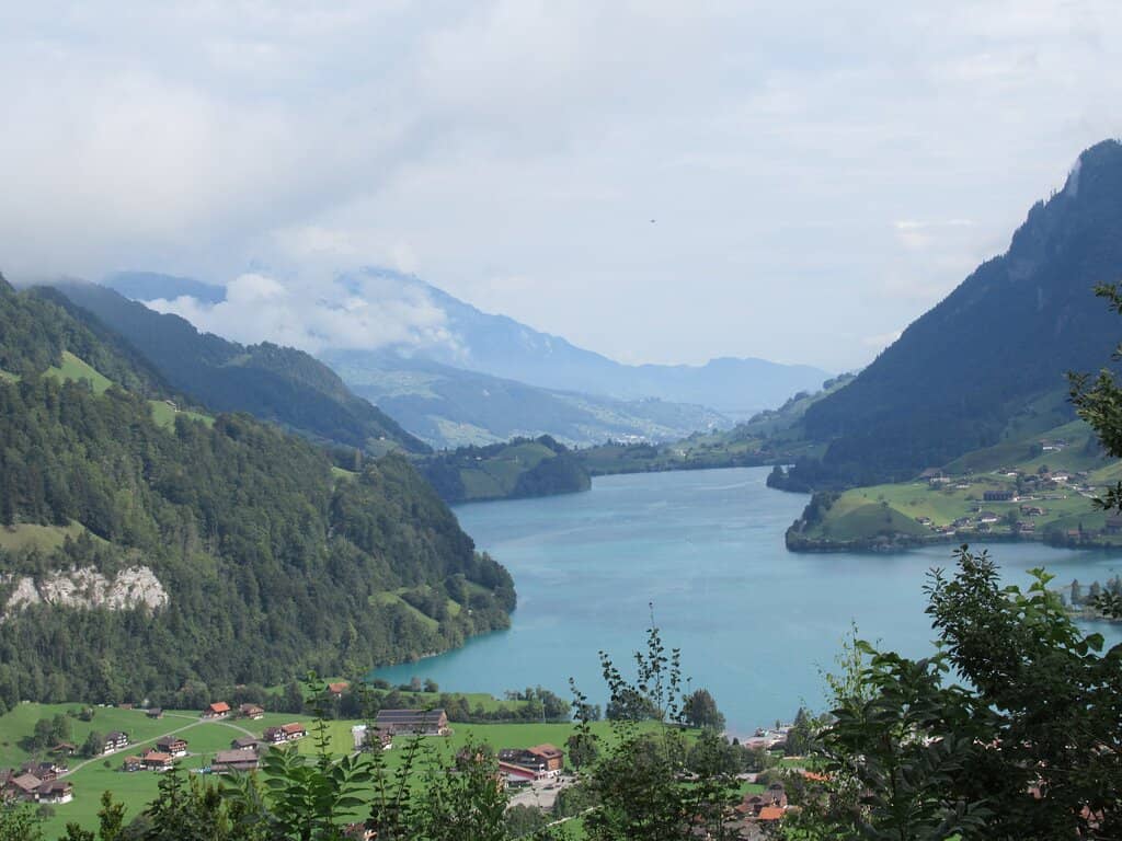 Alpine Road Views