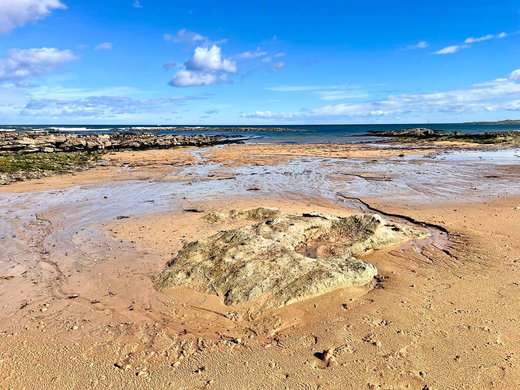 Coastal Path Exploration