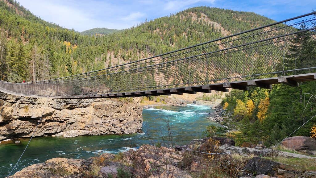 Cedar and Pine Trail