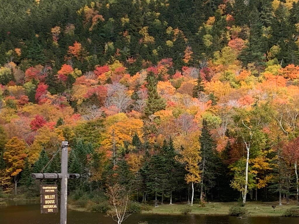 Silver Cascade