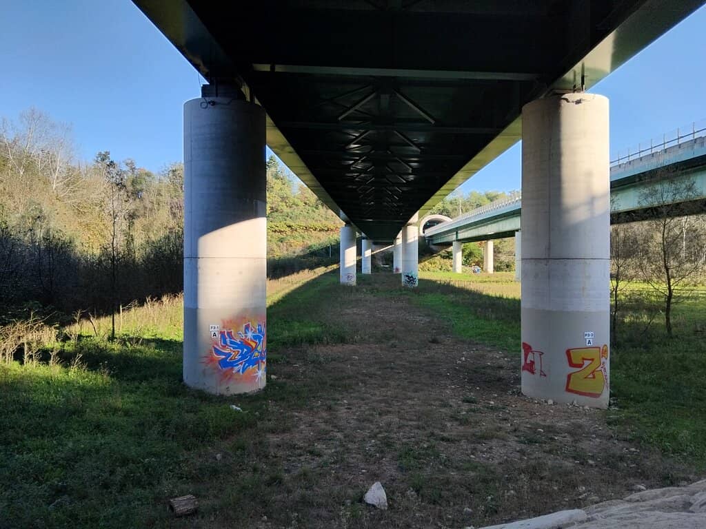 Biodiversity Cultivation