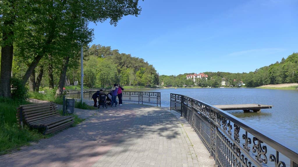 Muza Park Forest