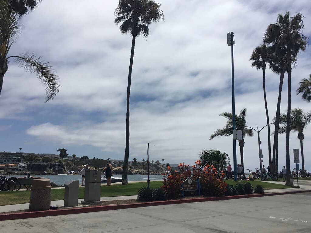 River Restoration Project