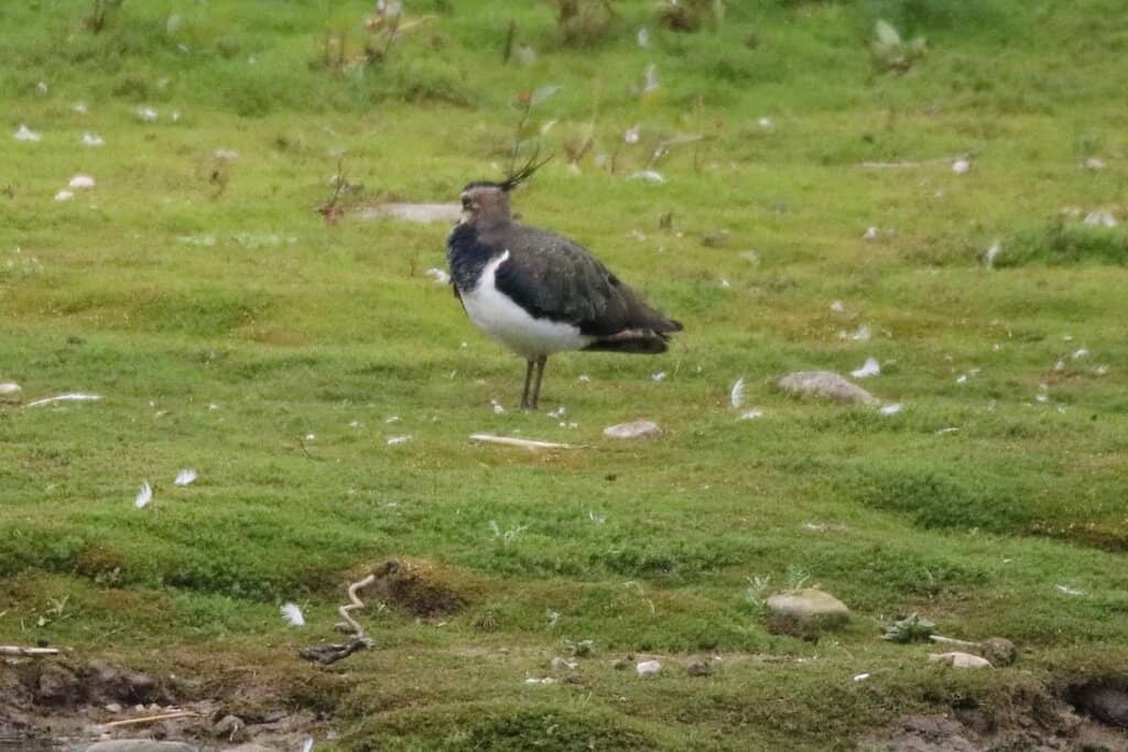 Visitor Centre & Cafe