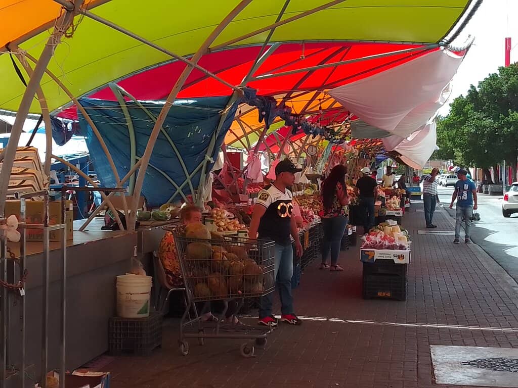 Exotic Fruit Delights